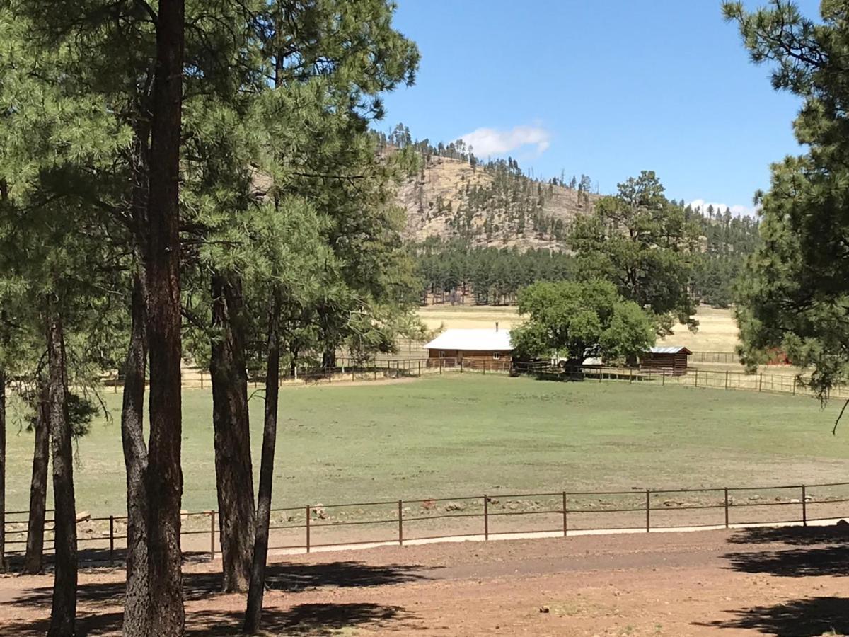 Grand Canyon 1Bd Loft/Suite-Horseback Riding-Shooting-Dogs Ok! Parks Exterior foto